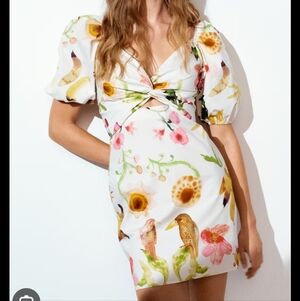 H&m divided bird dress Viral  Dress